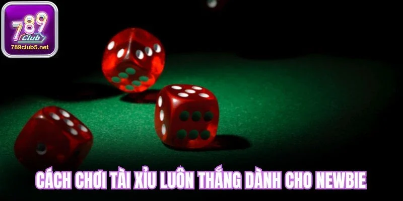 Cách chơi tài xỉu luôn thắng dành cho newbie